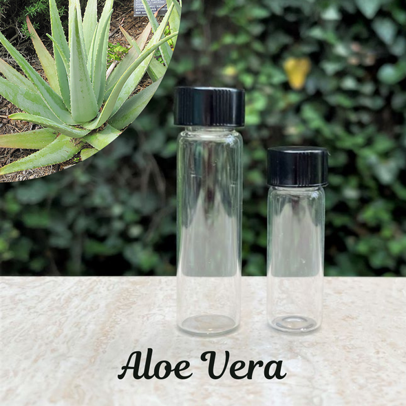 The Soap Opera Pure Perfume Oils - Aloe