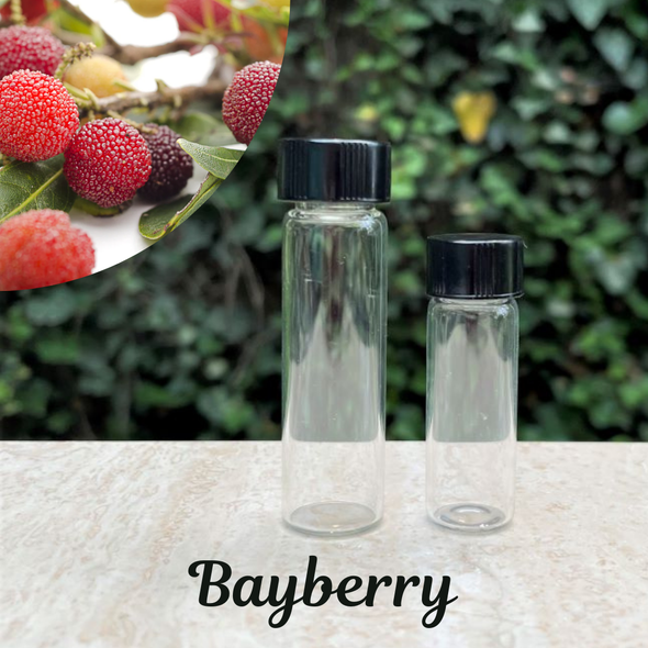 The Soap Opera Pure Perfume Oils - Bayberry