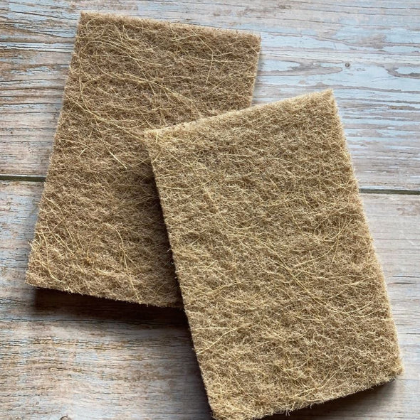 Earthbits Biodegradable Coconut Scourer Sponge