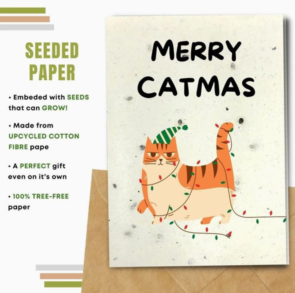 Earthbits Compostable Greeting Cards - Holiday