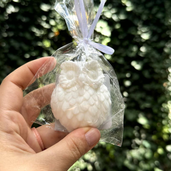 Plunk Soap 3D Scented Owl Soap - White Tea & Ginger